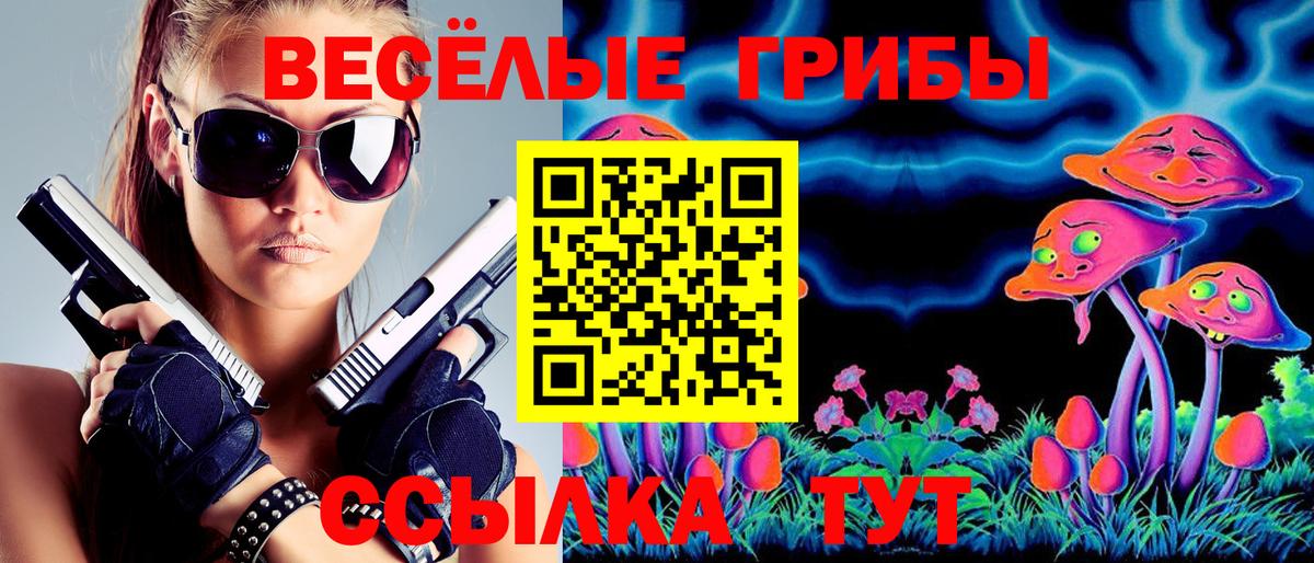 Галлюциногенные грибы Psilocybe  Вход с VPN  Кузнецк 