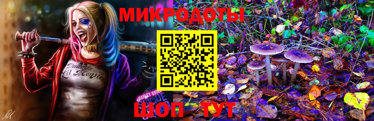 Псилоцибиновые грибы Magic Shrooms Кузнецк